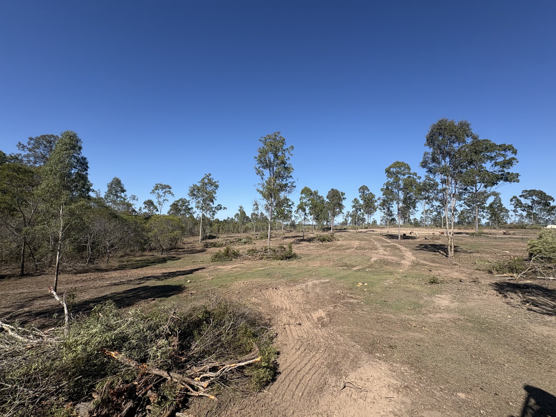 Cleared paddock with graded ground after clearing works near Gympie QLD