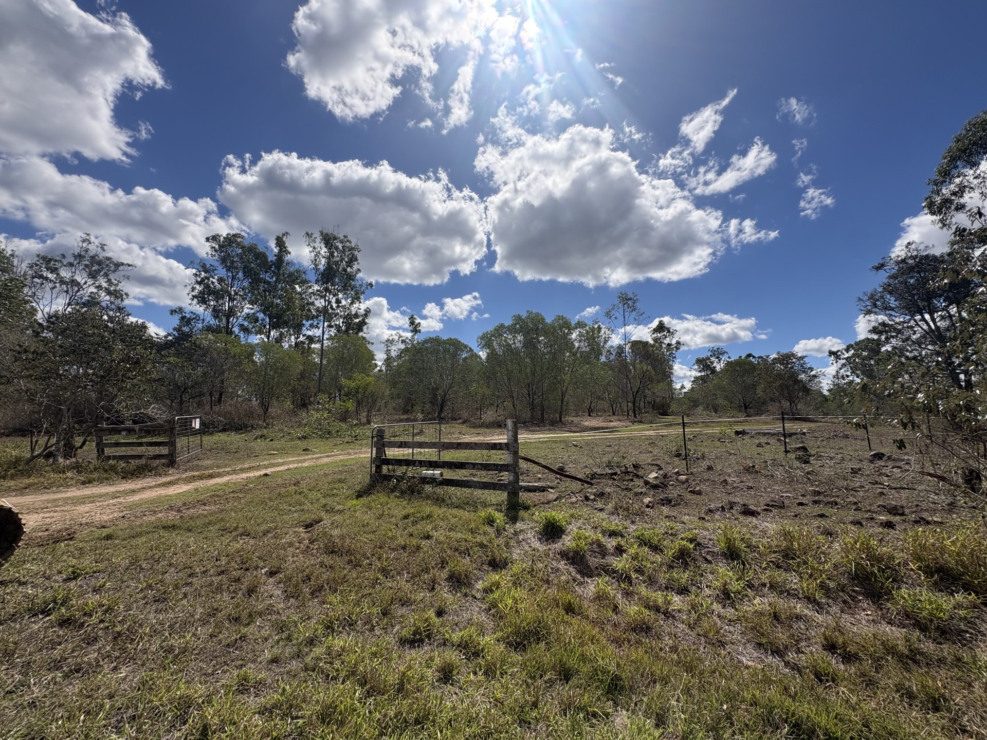 Overgrown ground with scrub and saplings before land clearing near Gympie QLD