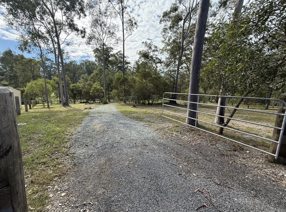 Timbered ground around a rural home before clearing near Gympie QLD