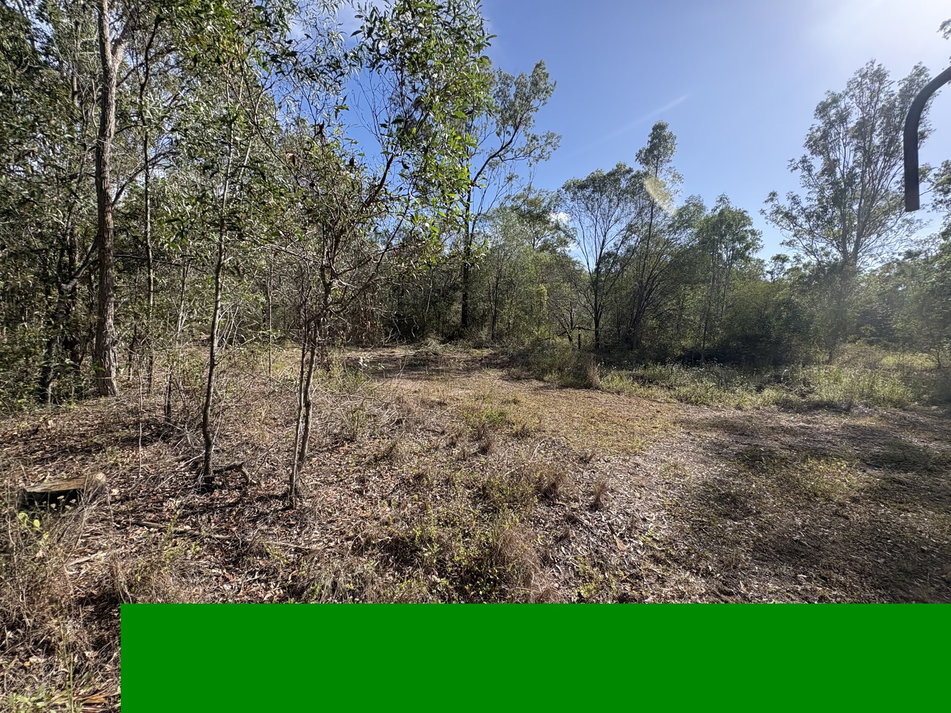 Timbered ground with scrub before land clearing at Woolooga QLD