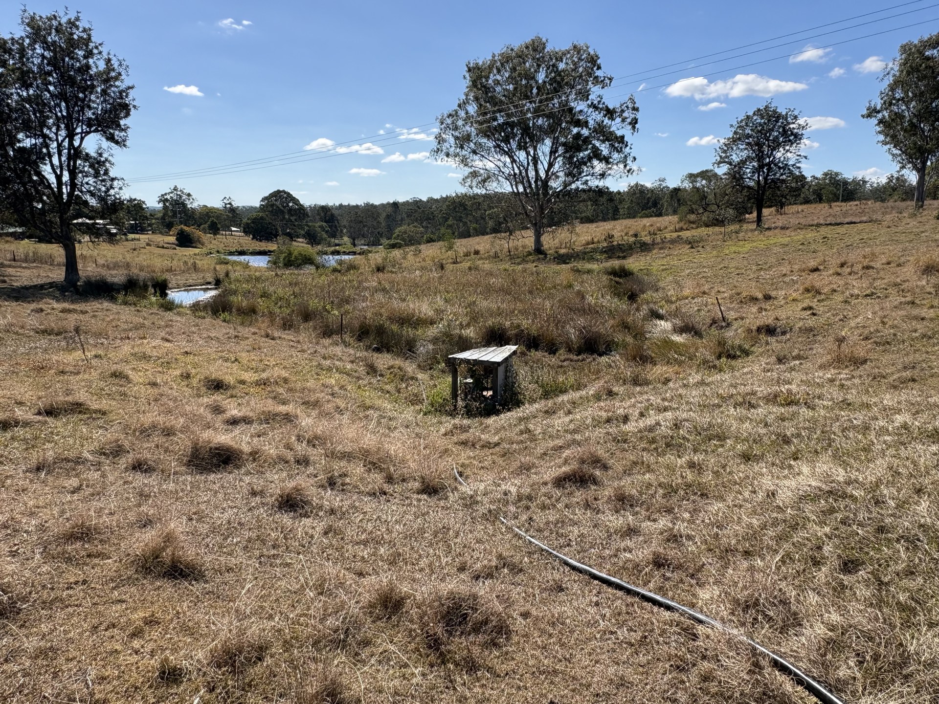 Open paddock at Corella QLD before a new farm dam was excavated