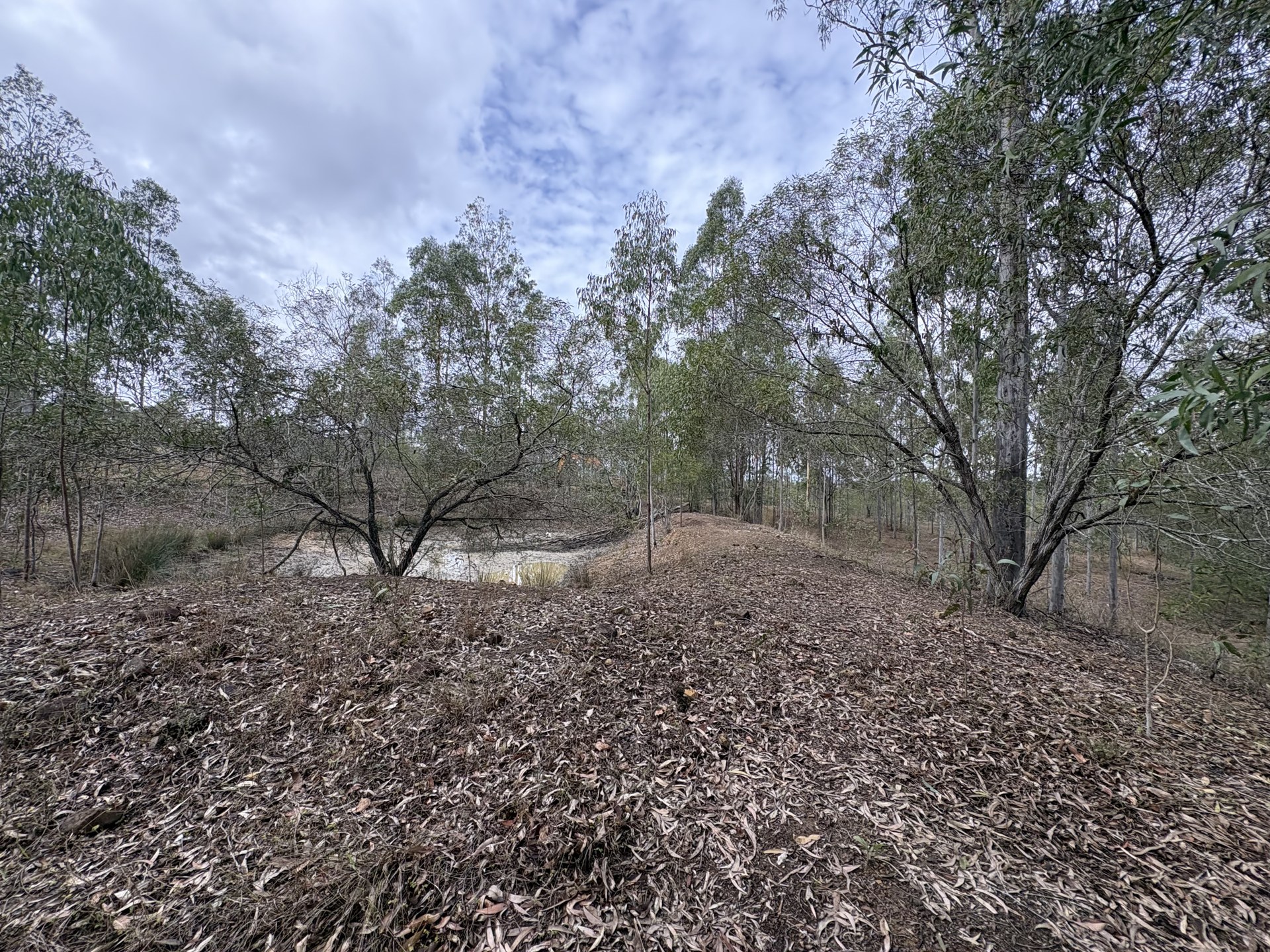 Farm dam with muddy shallow water and silt build-up before desilting near Gympie QLD