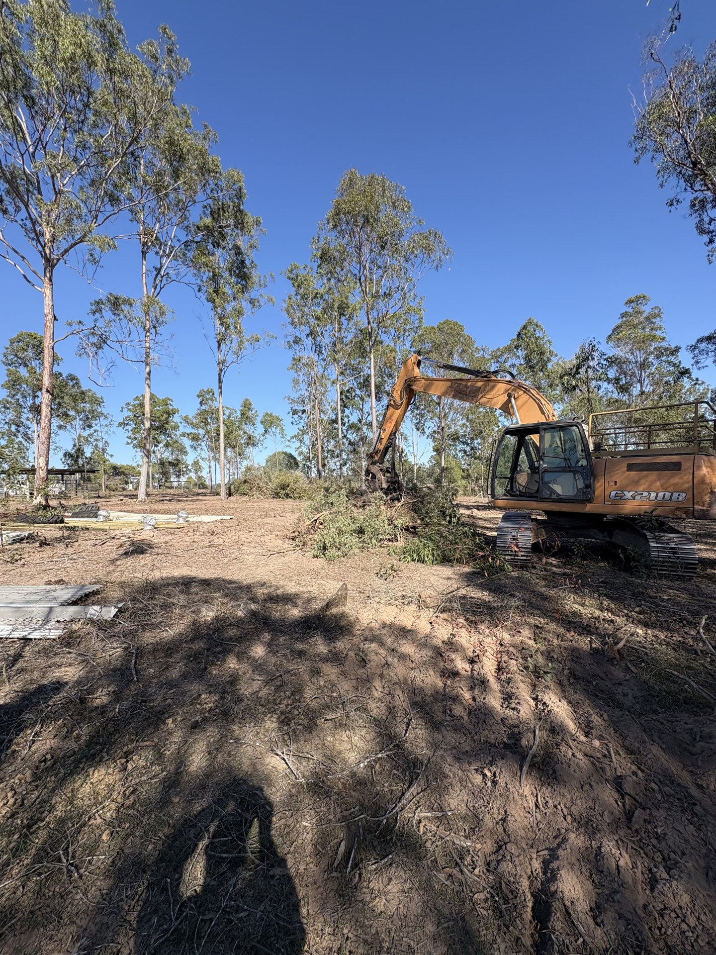 Excavator clearing regrowth and pushing timber into heaps near Gympie QLD