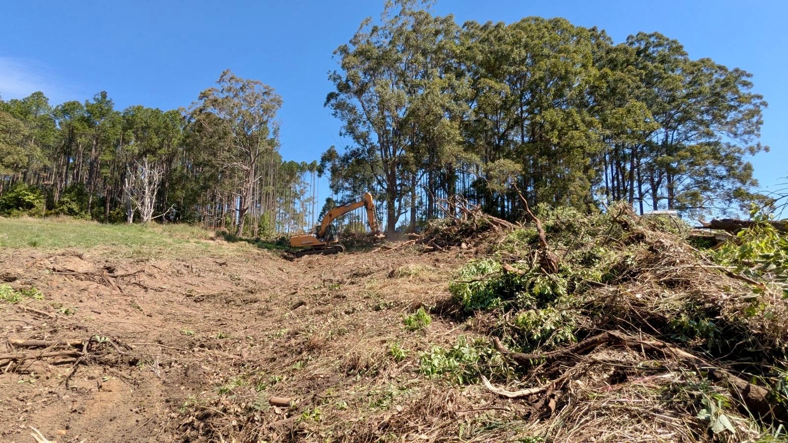 Excavator clearing timber on a rural property with debris windrowed to one side