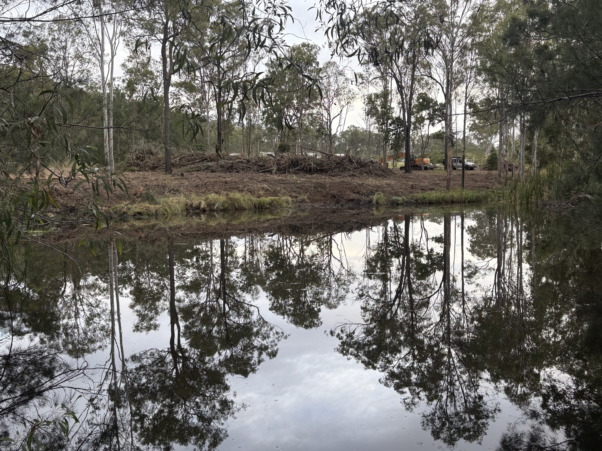 Excavator clearing timber and scrub with debris windrowed at Woolooga QLD