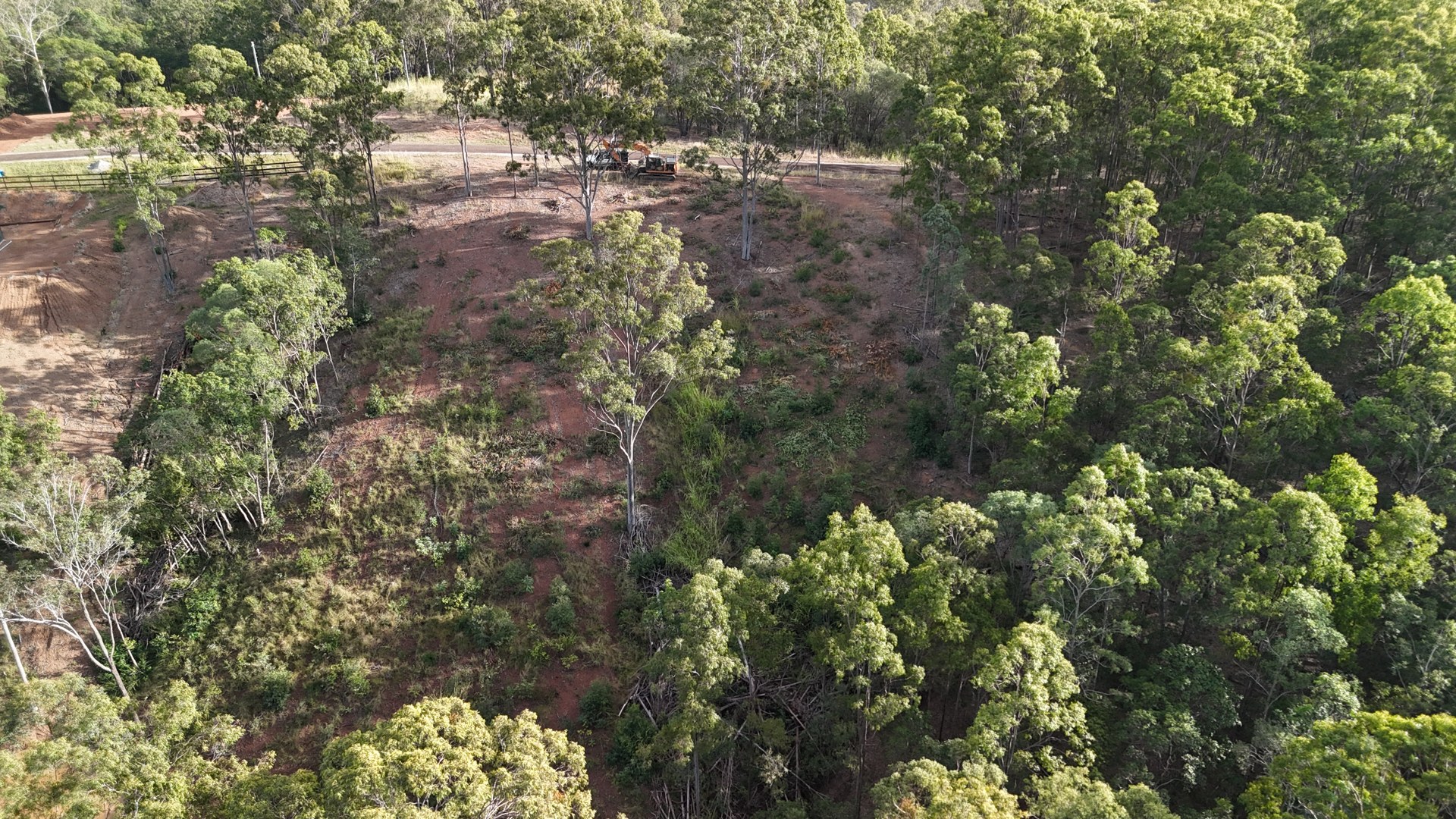 Overgrown timbered rural block before clearing and a site cut at Glastonbury QLD