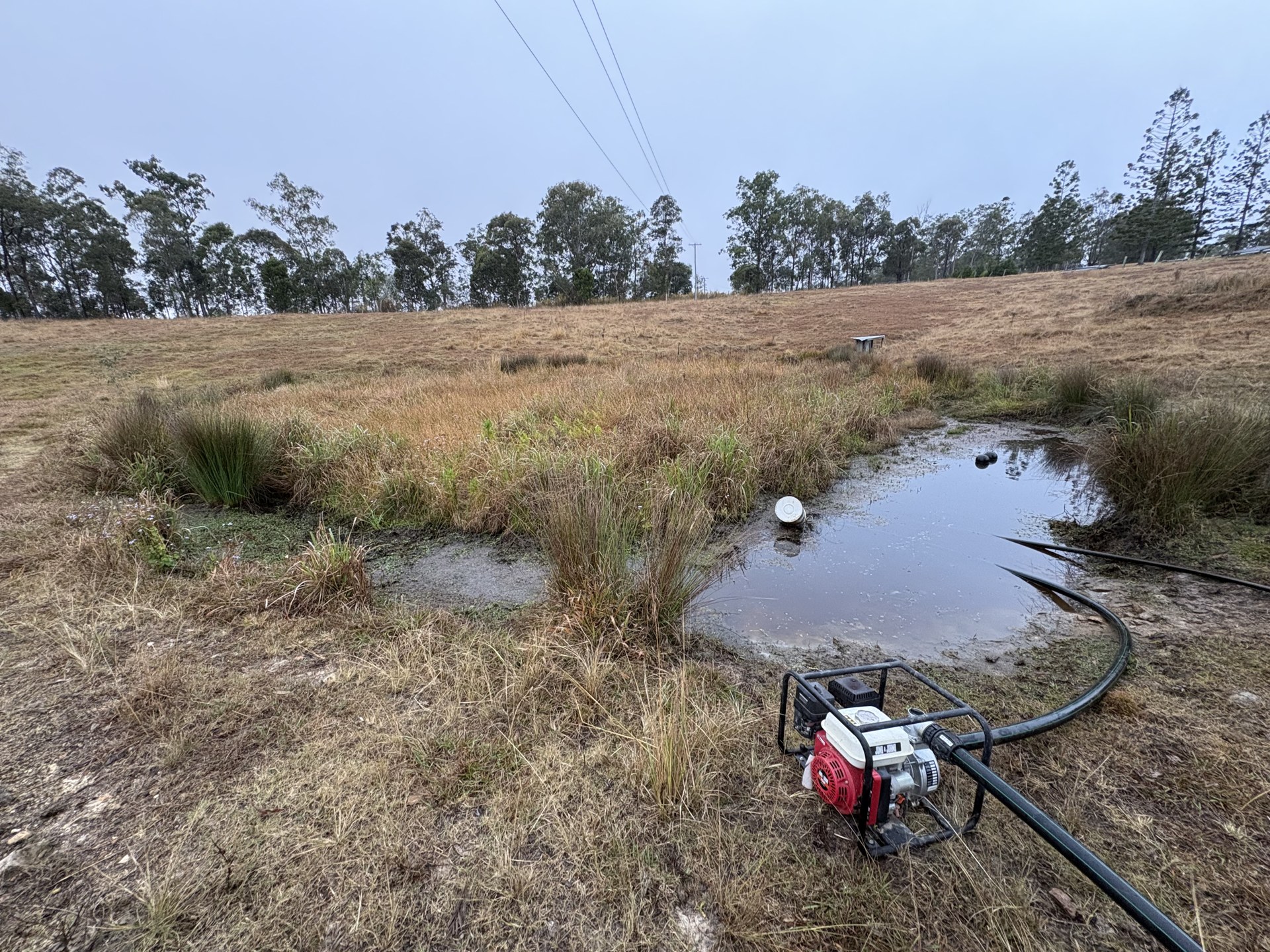 Boggy soak and reeds in a paddock with a pump running before dam works at Corella QLD