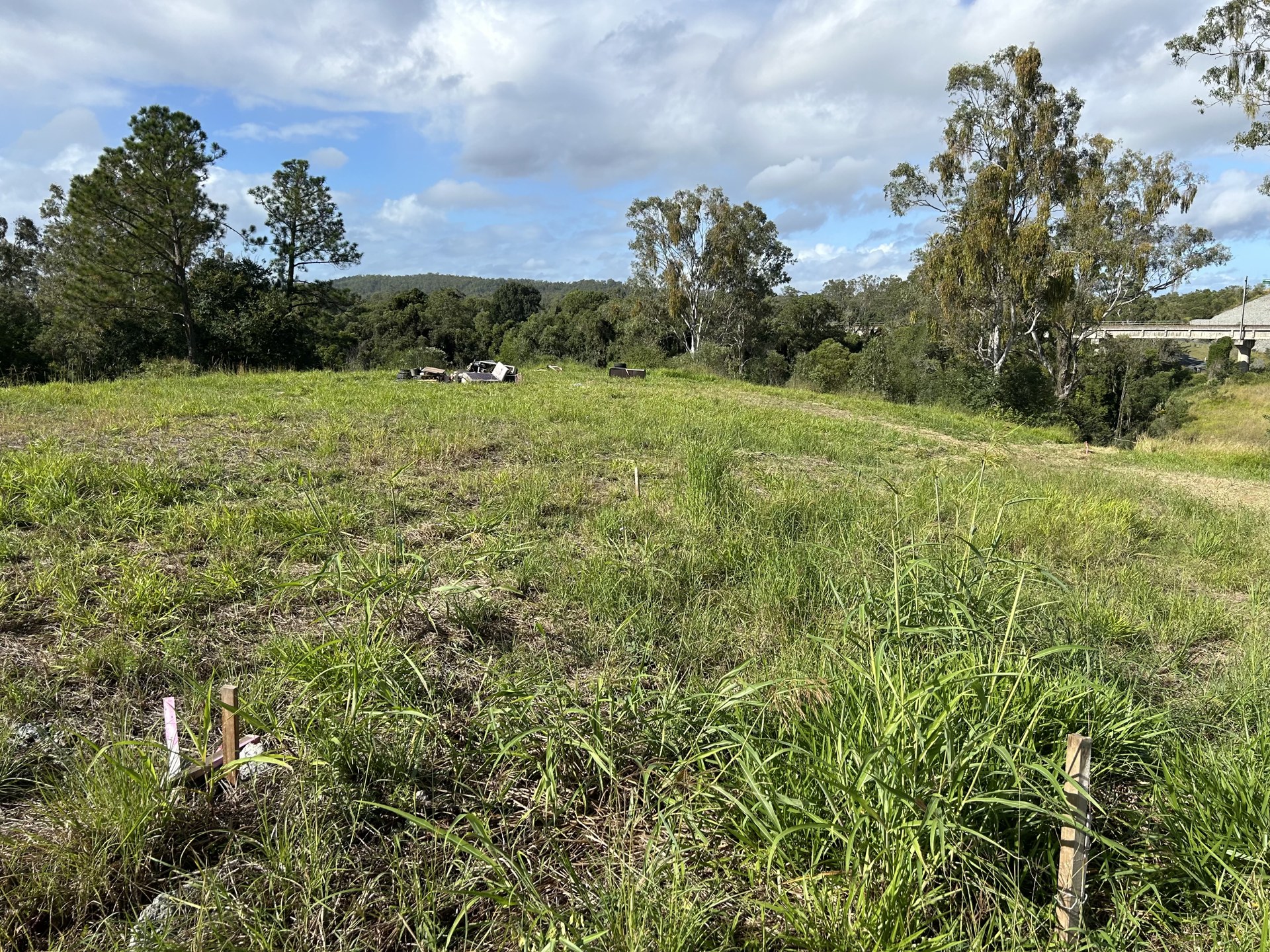 Sloping grassed block before a shed pad site cut at Mothar Mountain QLD